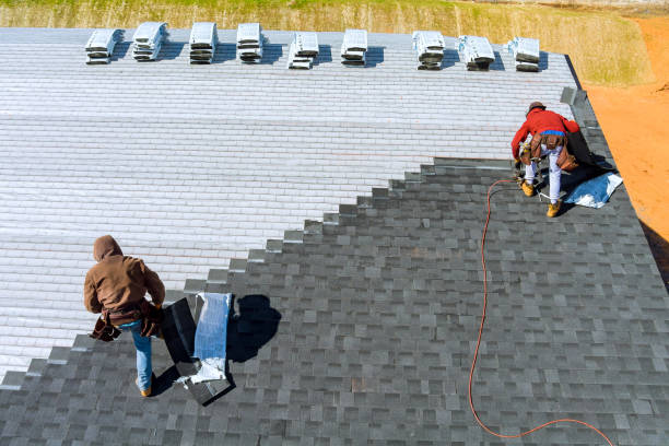 Best Roof Gutter Cleaning  in Mingo Junction, OH